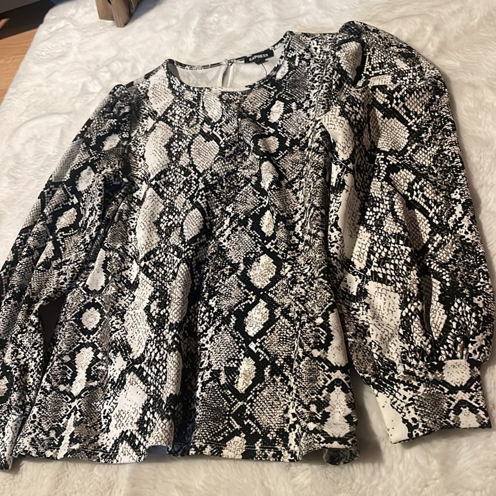 Express Top - Picture 2 of 3